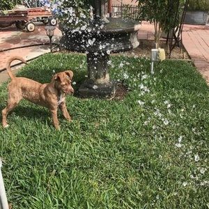 Meet your Posher, Kathy